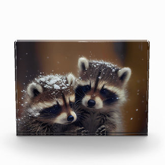 Baby Raccoons Huddle in Falling Snow Photo Block