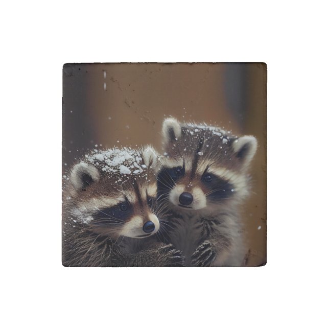 Baby Raccoons Huddle in Falling Snow Stone Magnet (Front)