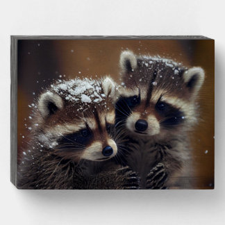 Baby Raccoons Huddle in Falling Snow Wooden Box Sign