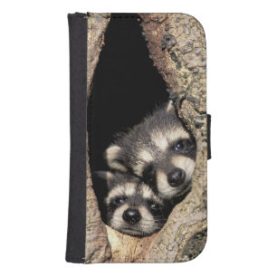 Baby raccoons in tree cavity Procyon Samsung S4 Wallet Case