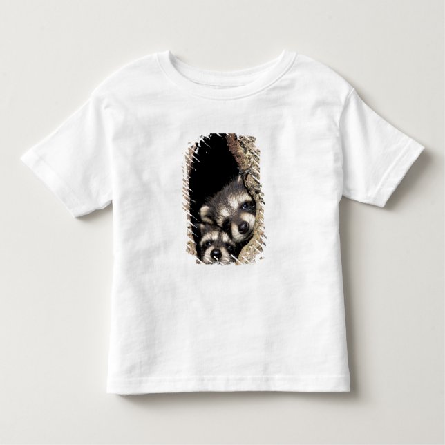 Baby raccoons in tree cavity Procyon Toddler T-shirt (Front)