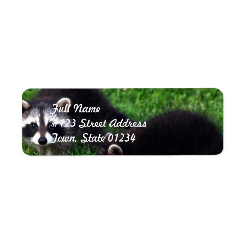 Baby Raccoons Mailing Labels