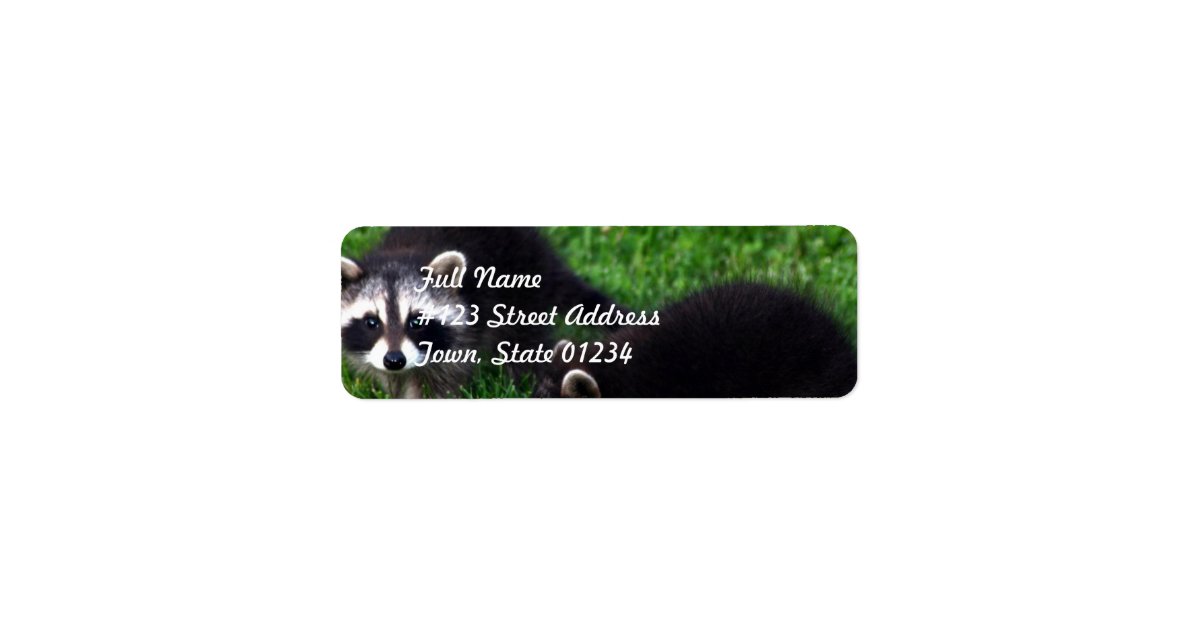 Baby Raccoons Mailing Labels | Zazzle