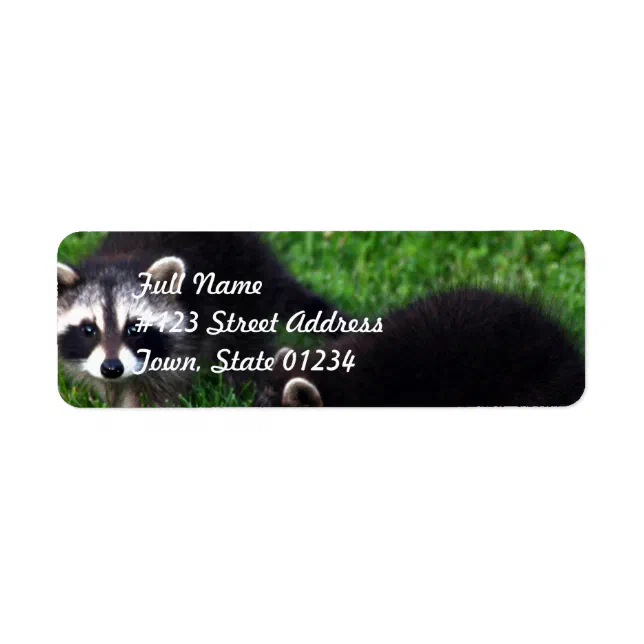 Baby Raccoons Mailing Labels | Zazzle