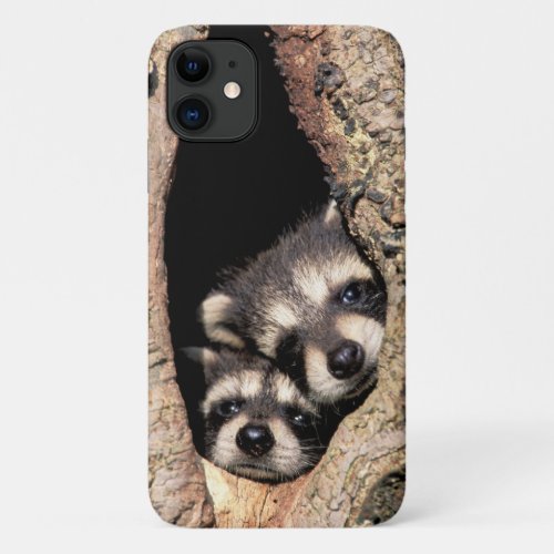 Baby Raccoons Peeking out of Tree iPhone 11 Case