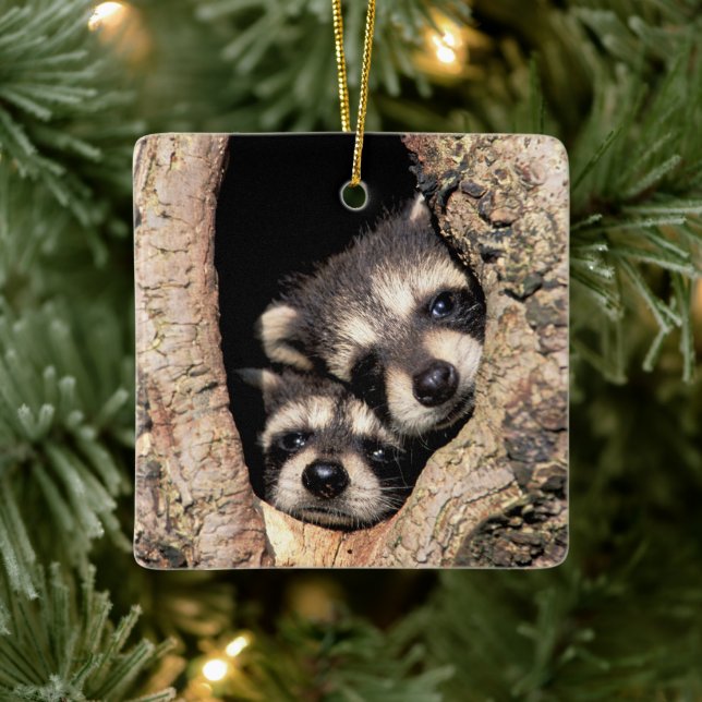Baby Raccoons Peeking out of Tree Ceramic Ornament (Tree)