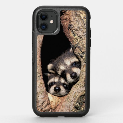 Baby Raccoons Peeking out of Tree OtterBox Symmetry iPhone 11 Case