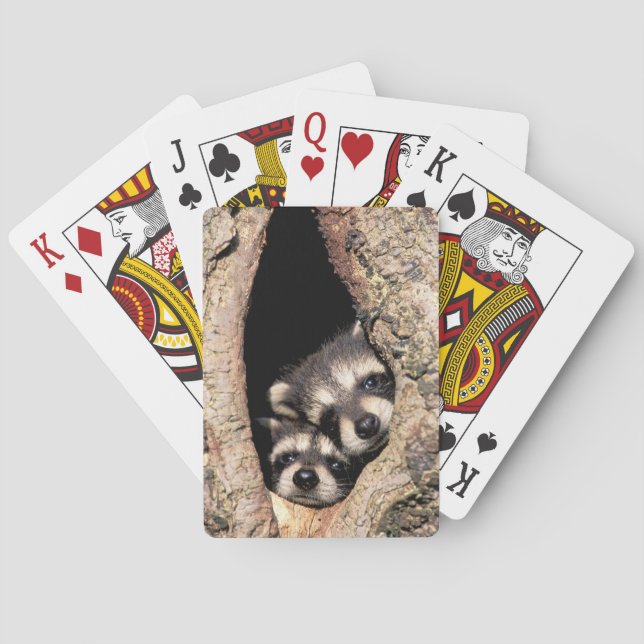 Baby Raccoons Peeking out of Tree Poker Cards (Back)
