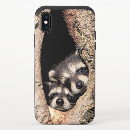 Baby Raccoons Peeking out of Tree iPhone X Slider Case