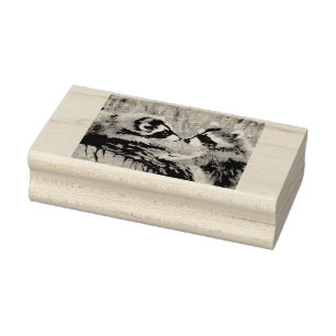 Baby Raccoons Rubber Stamp