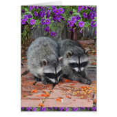 Baby Raccoons With Purple Flowers (Front)