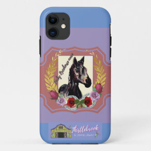 baby racehorse mare wins the race iPhone 11 case