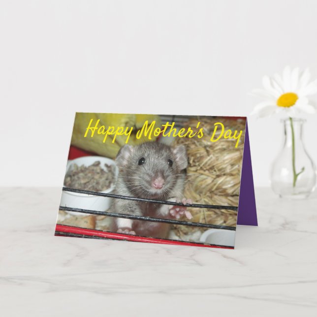 Baby rat Mother's Day Card (Small Plant)