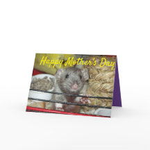 Baby rat Mother's Day Card