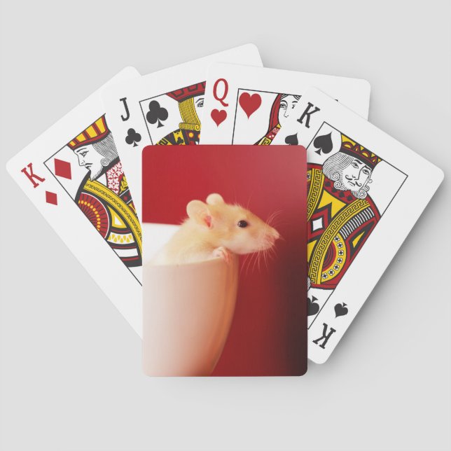 Baby Rat Poker Cards (Back)