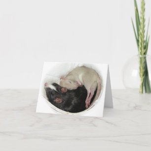 Baby Rat Sleeping Letterpress Thank You Card