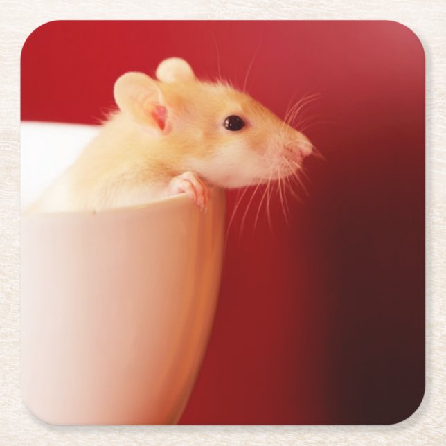 Baby Rat Square Paper Coaster (Front)