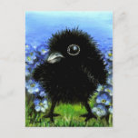 Baby Raven Postcard at Zazzle
