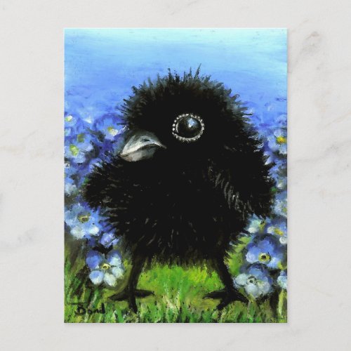 Baby raven postcard