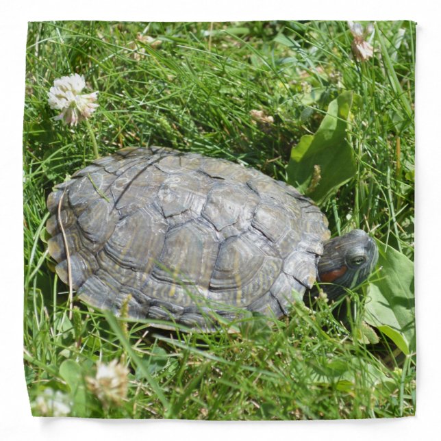 Baby Red Eared Slider Turtle Bandana (Front)