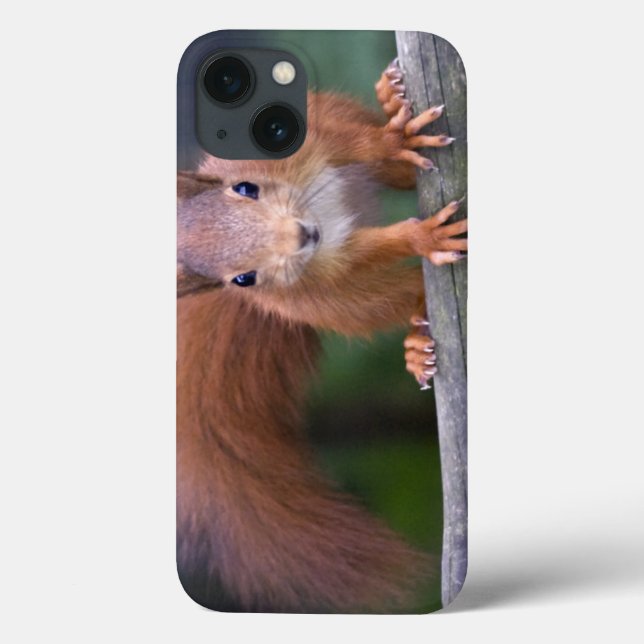 Baby Red iPad Case (Back)