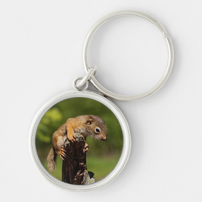 Baby Red Squirrel Keychain (Front)