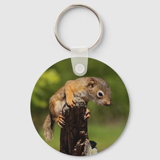 Baby Red Squirrel Keychain (Front)