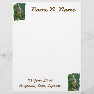 Baby Red Tailed Hawk Letterhead Stationery
