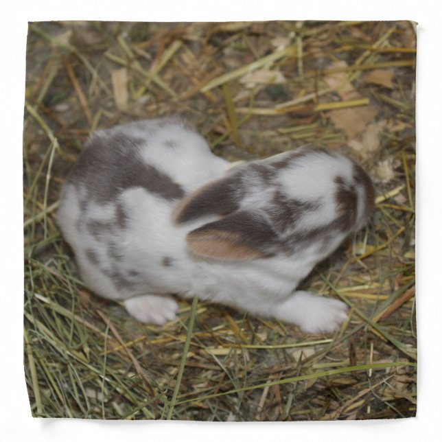 Baby Reeces Bandana (Front)