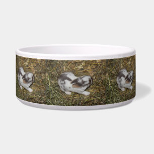 Baby Reeces Bowl