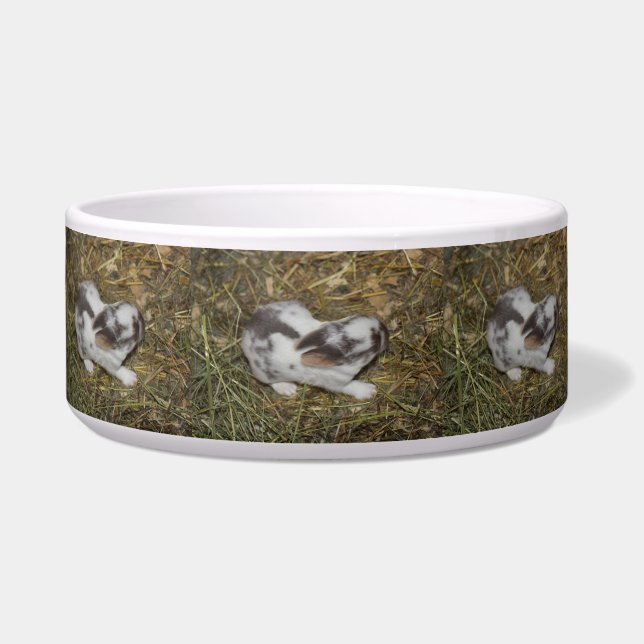 Baby Reeces Bowl (Front)