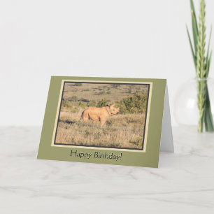 Baby Rhino Happy Birthday Card