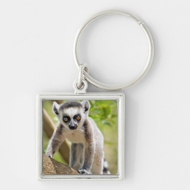 Baby ring-tailed lemur keychain (Front)