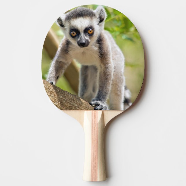 Baby ring-tailed lemur Ping-Pong paddle (Front)