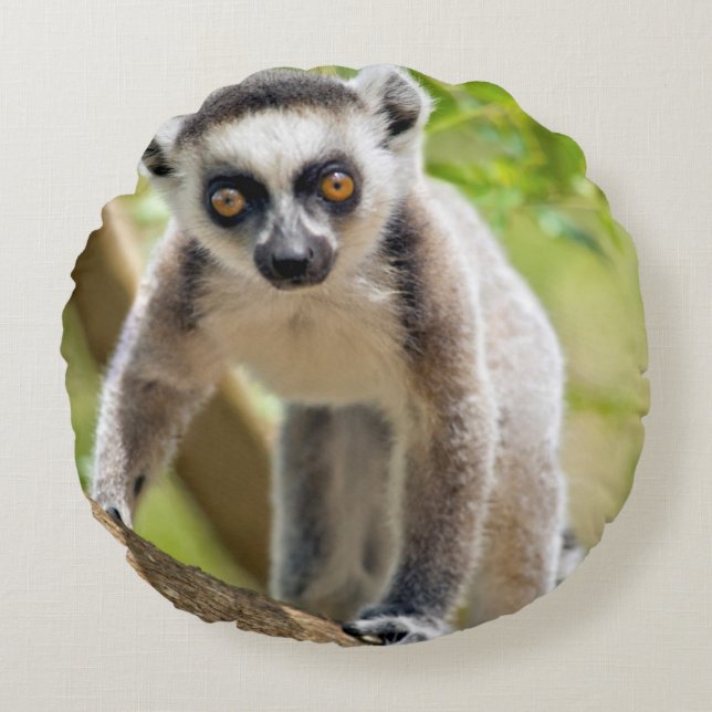 Baby ring-tailed lemur round pillow (Front)