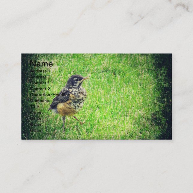 Baby Robin Business Card (Front)