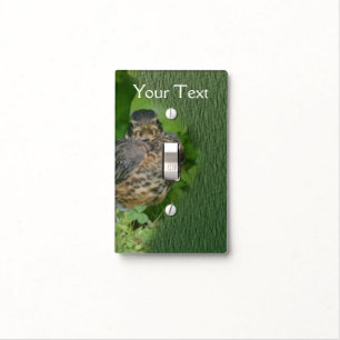 Baby Robin Fledgling Bird Nature Personalized Light Switch Cover
