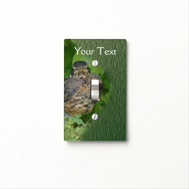 Baby Robin Fledgling Bird Nature Personalized Light Switch Cover (In Situ)