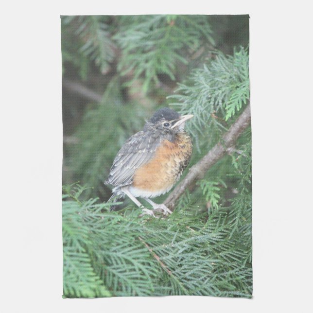 Baby Robin Hand-towel Kitchen Towel (Vertical)