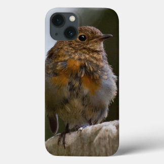 Baby Robin iPad Case