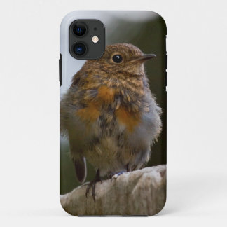 Baby Robin iPhone 5 Case
