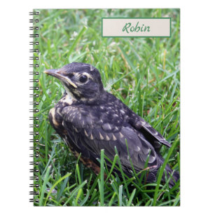 Baby Robin Just Out of Nest Photo with Name Notebook