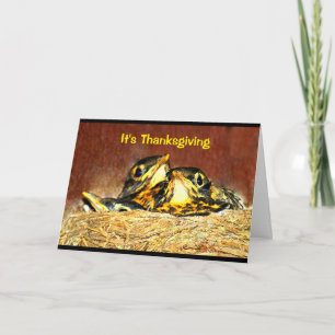 Baby Robins Thanksgiving Humor Holiday Card