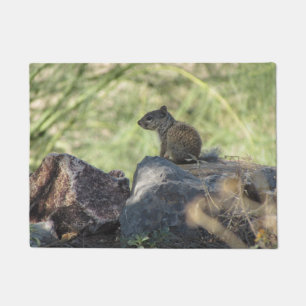 Baby Rock Squirrel Doormat