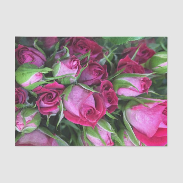 Baby rosebuds tissue paper (Front)