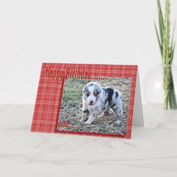 Baby Ruger Bd 137-z Card by MakaraPhotos at Zazzle