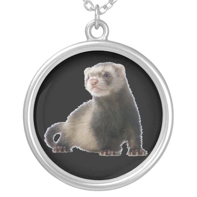 baby sable ferret silver plated necklace (Front)