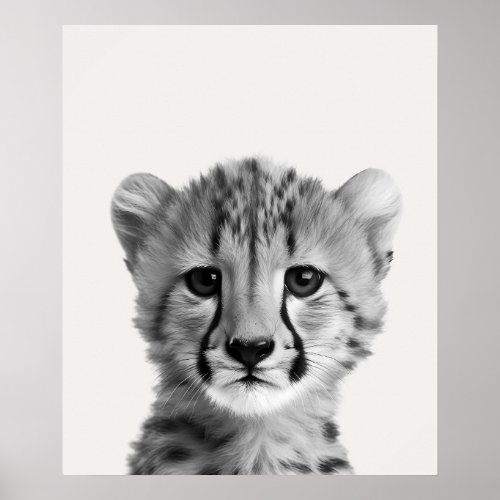 Baby Safari African Jungle Animals  Cheetah Poster
