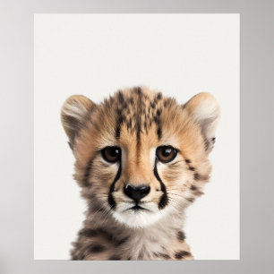 Baby Safari African Jungle Animals  Cheetah  Poster