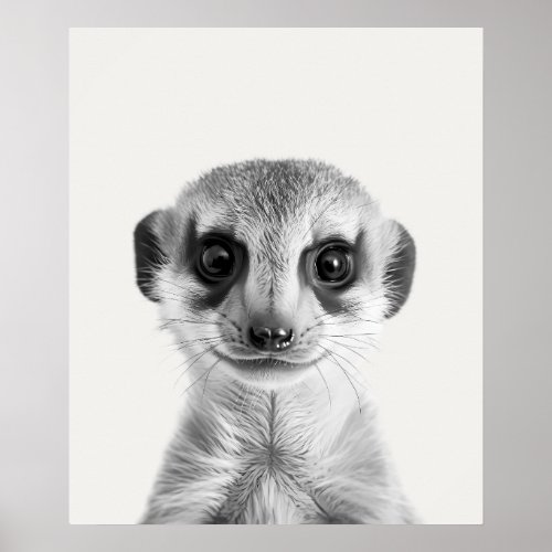 Baby Safari African Jungle Animals Meerkat Poster